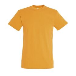 T-SHIRT MC H REGENT Voiron T-SHIRT MC H REGENT Voiron