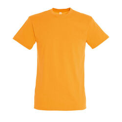 T-SHIRT MC H REGENT Voiron T-SHIRT MC H REGENT Voiron